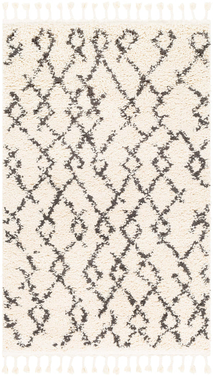 Berber Shag 21827 Machine Woven Synthetic Blend Indoor Area Rug by Surya Rugs