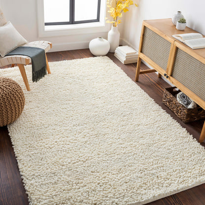 Aros 13 Hand Woven Wool Indoor Area Rug by Surya Rugs