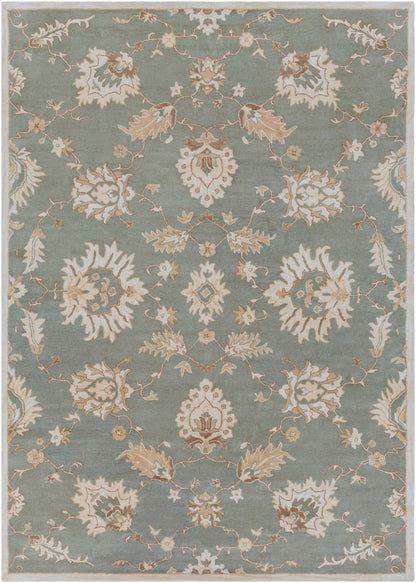 Caesar 12916 Hand Tufted Wool Indoor Area Rug by Surya Rugs