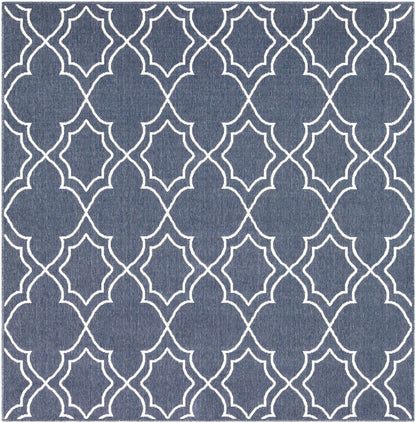 Alfresco 1107 Machine Woven Synthetic Blend Indoor/Outdoor Area Rug by Surya Rugs