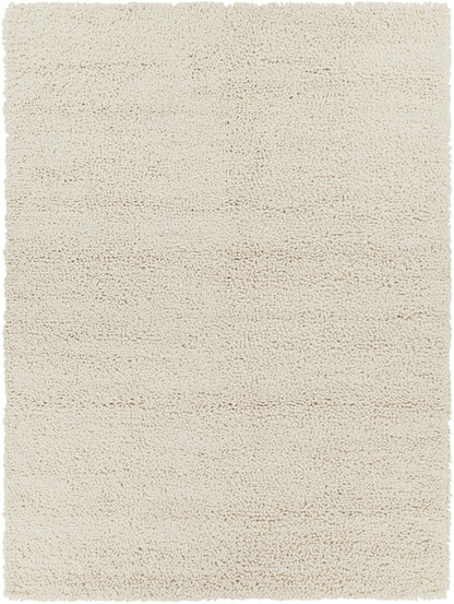 Aros 13 Hand Woven Wool Indoor Area Rug by Surya Rugs