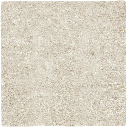 Aros 13 Hand Woven Wool Indoor Area Rug by Surya Rugs