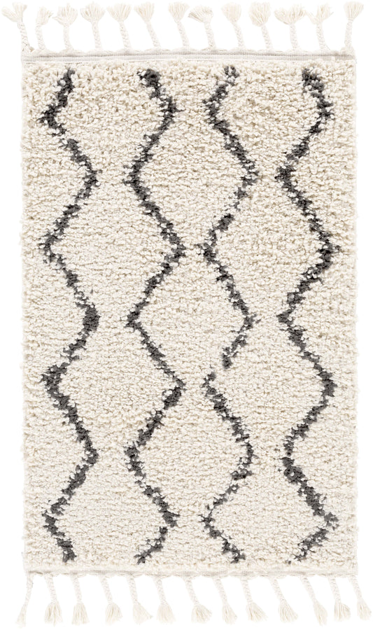 Berber Shag 21829 Machine Woven Synthetic Blend Indoor Area Rug by Surya Rugs